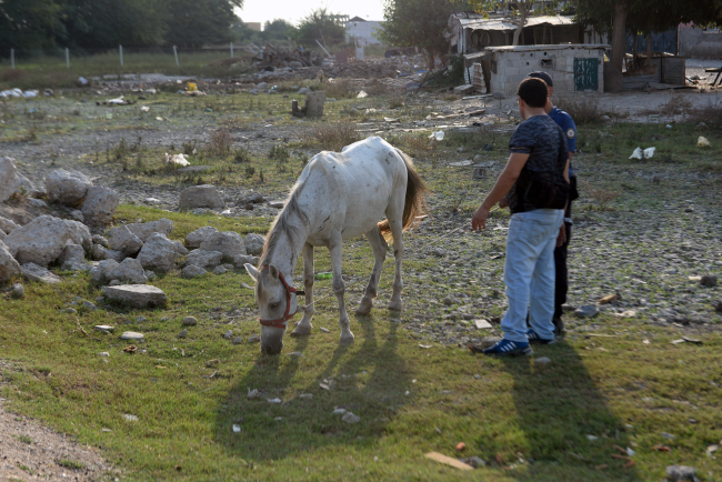 Fotoğraf: DHA